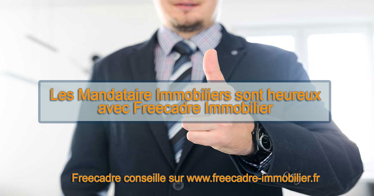 mandataires immobiliers statut