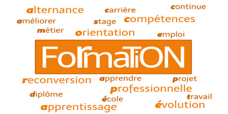 orientation professionnelle