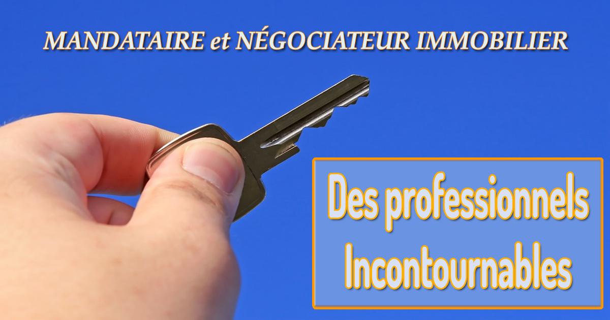 Mandataires Immobiliers